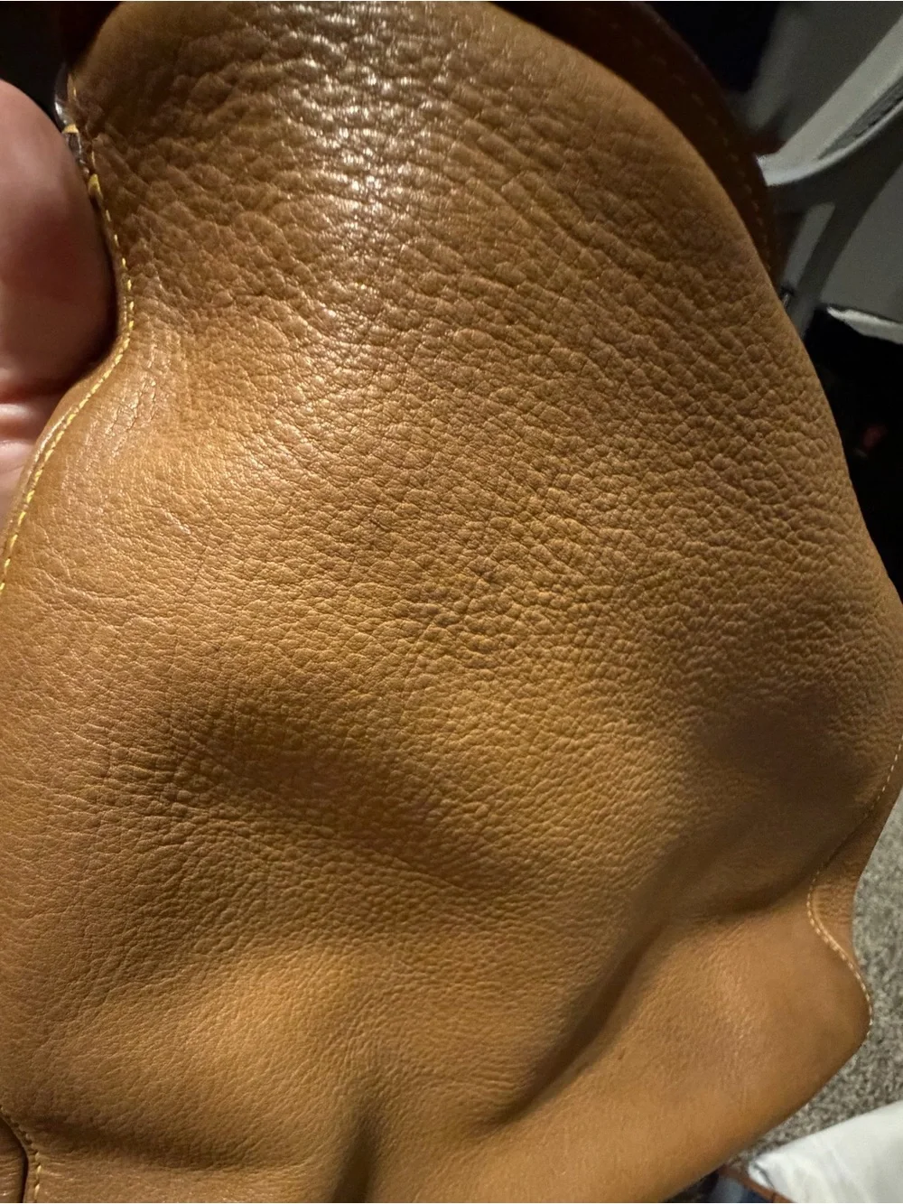 Coach Leather Hobo Bag in Tan/Cognac